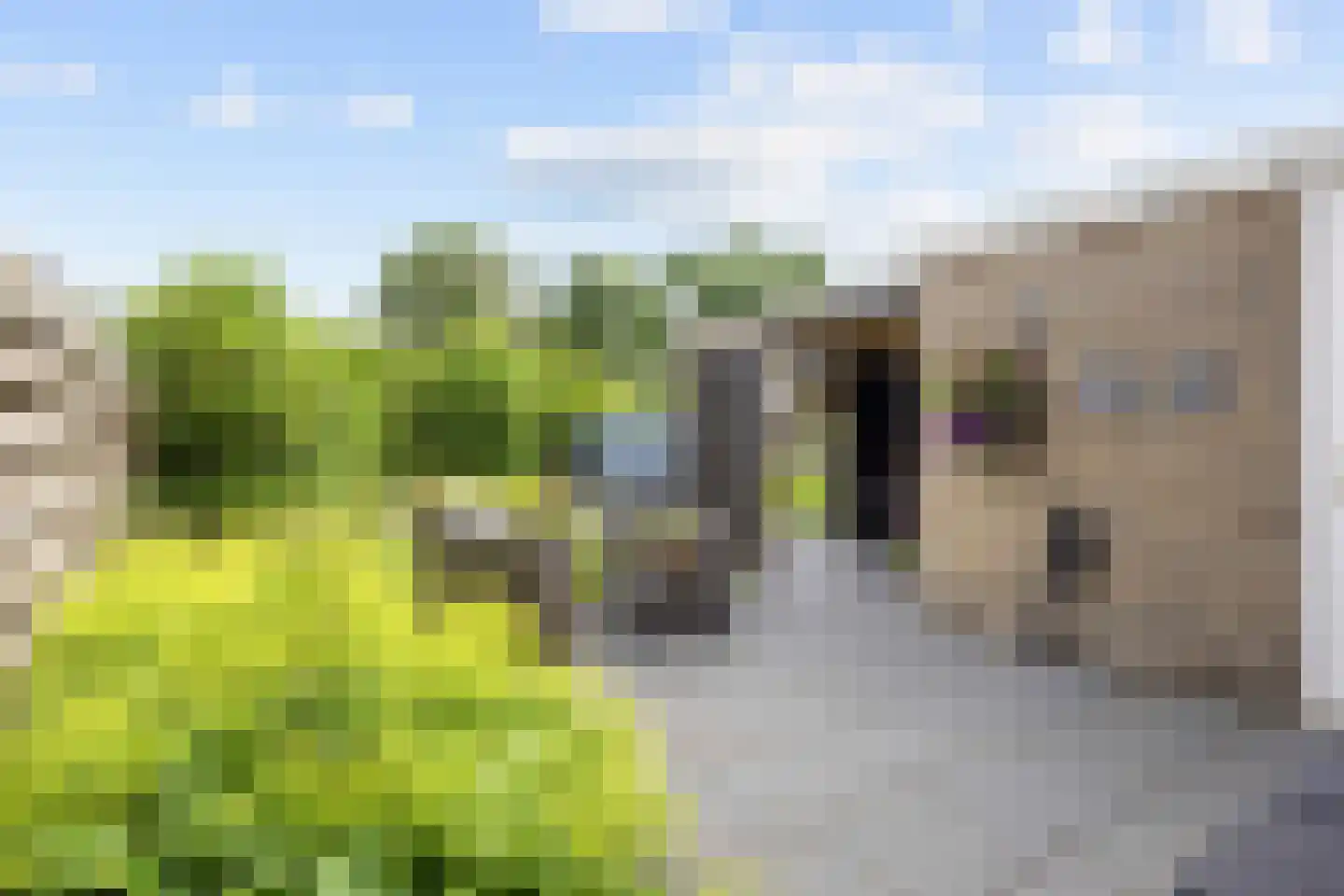 Ommelanderdrift 34 Bedum thumbnail 41