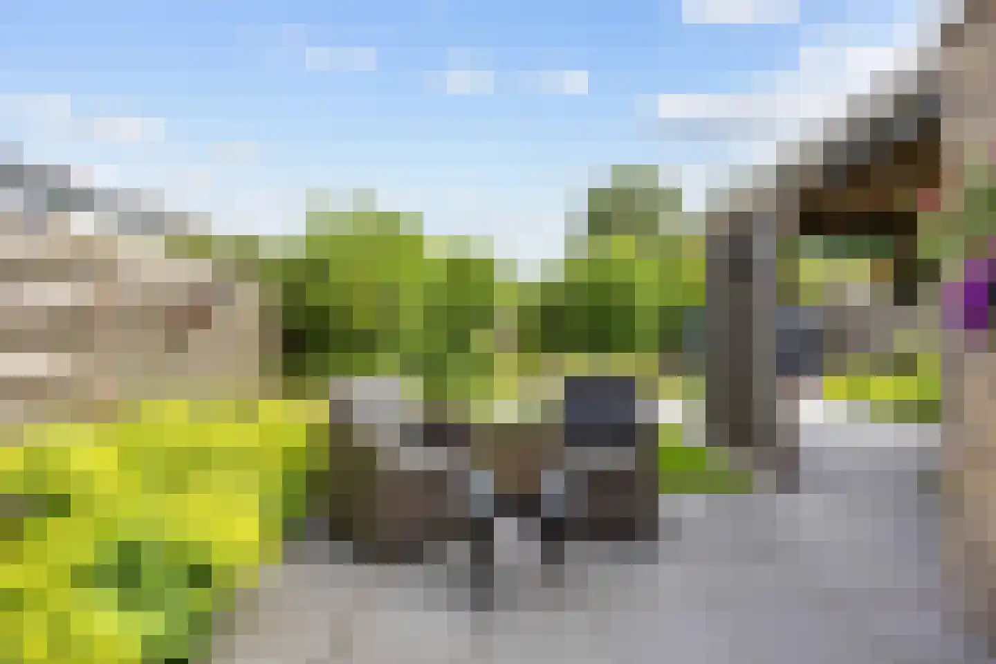 Ommelanderdrift 34 Bedum thumbnail 42