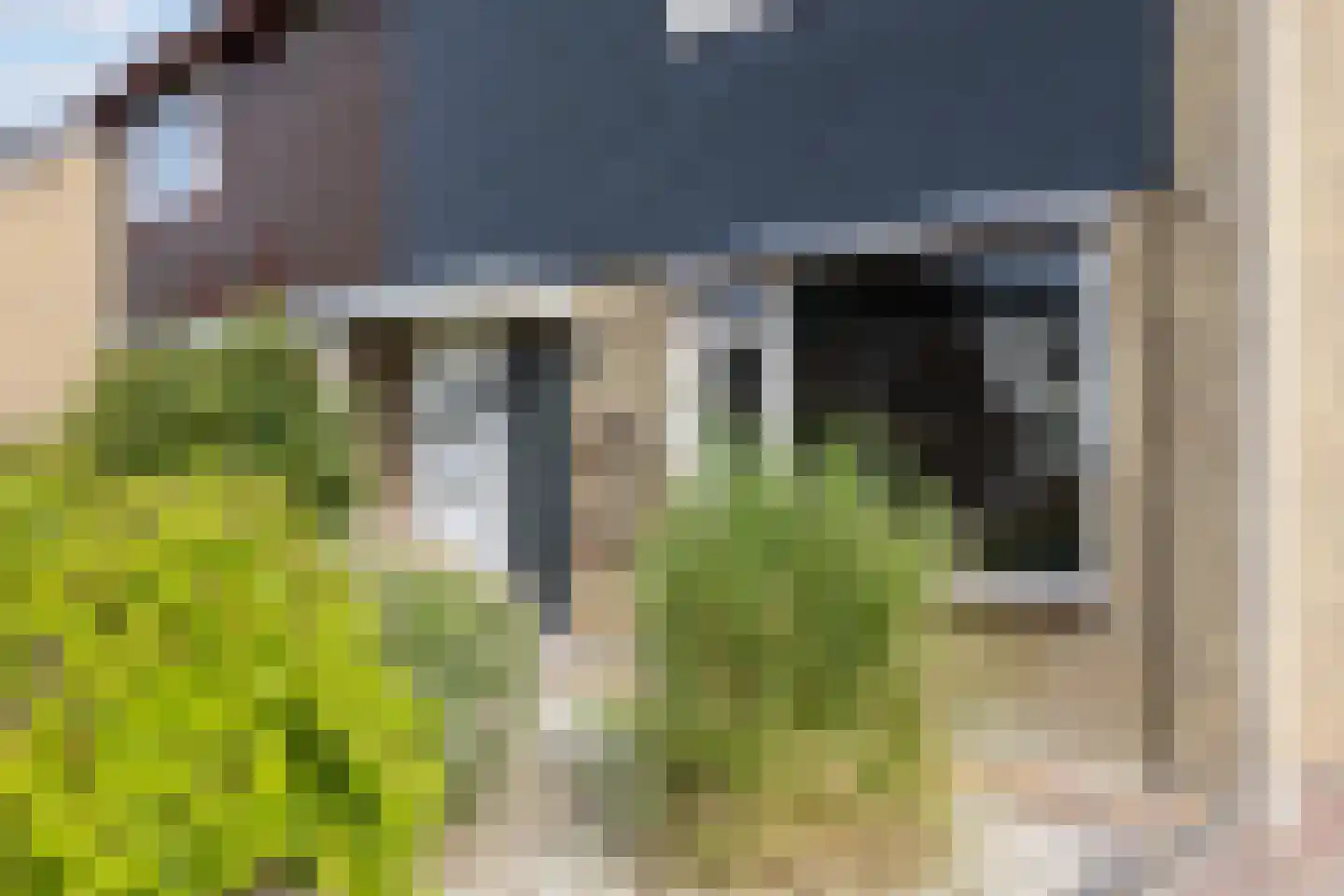 Ommelanderdrift 34 Bedum thumbnail 6