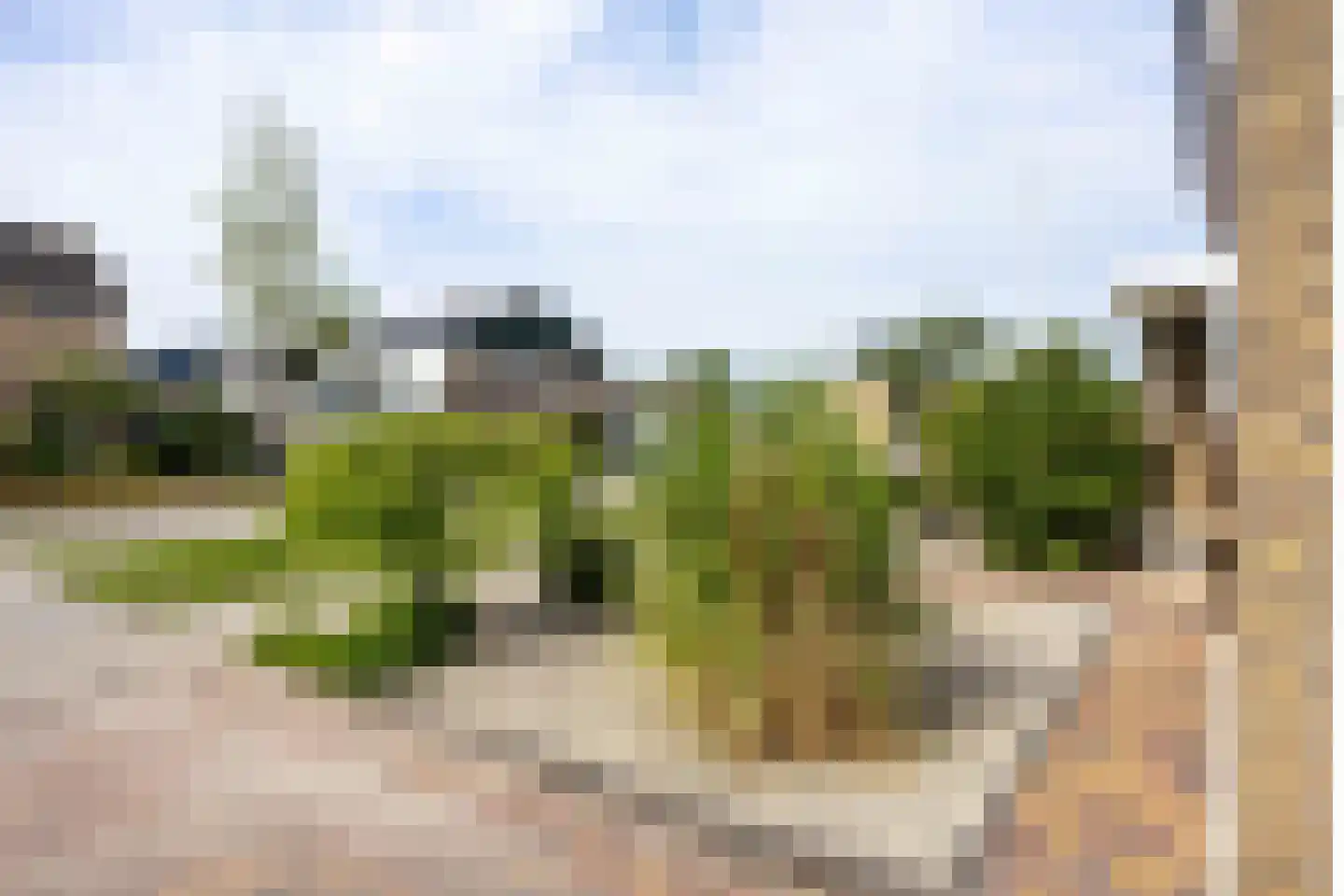 Ommelanderdrift 34 Bedum thumbnail 7