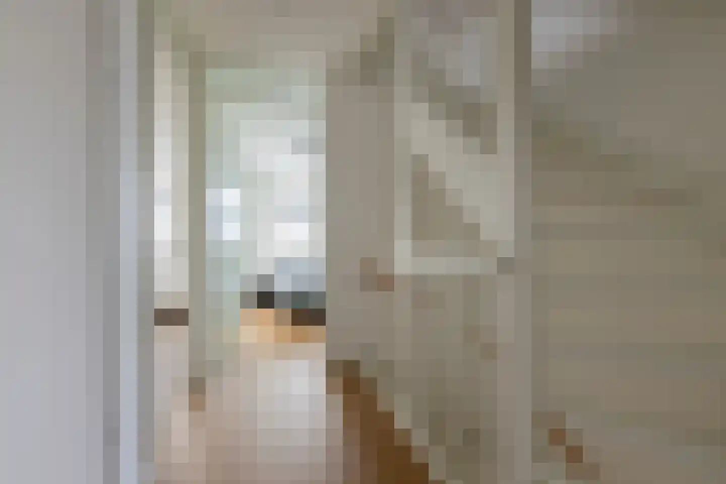 Ommelanderstraat 48 Ten Boer thumbnail 17