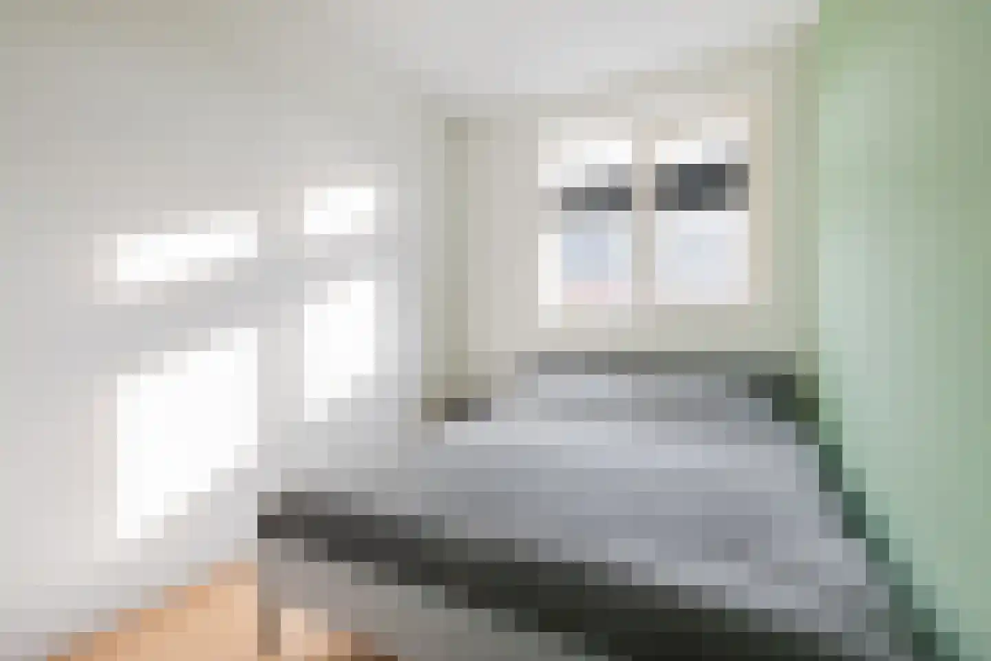 Ommelanderstraat 48 Ten Boer thumbnail 19