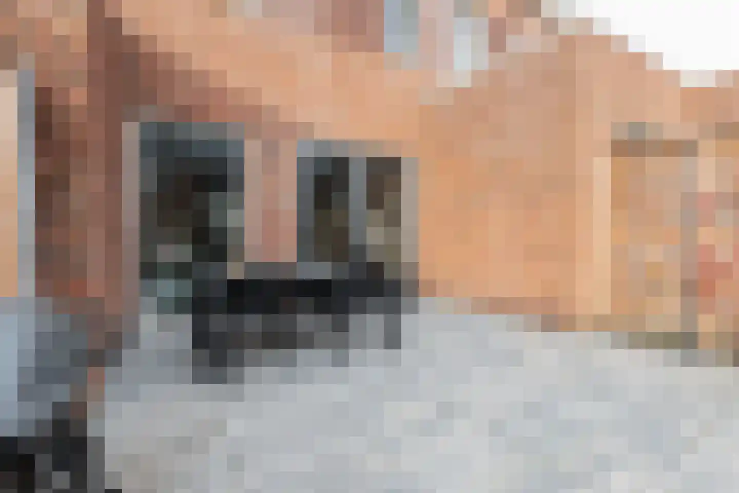 Ommelanderstraat 48 Ten Boer thumbnail 38