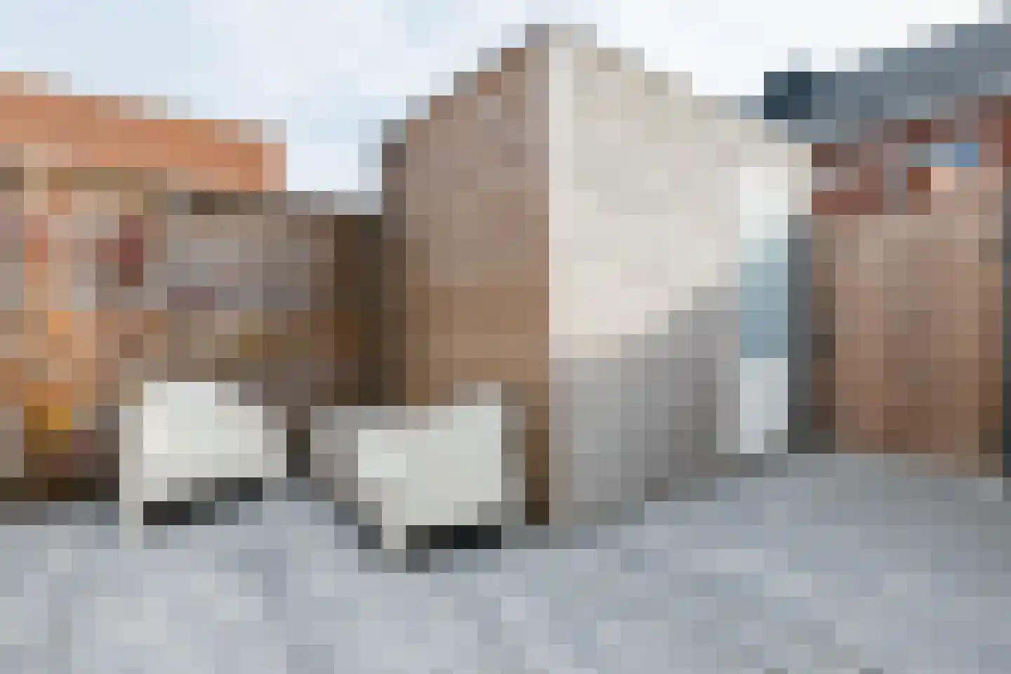 Ommelanderstraat 48 Ten Boer thumbnail 40