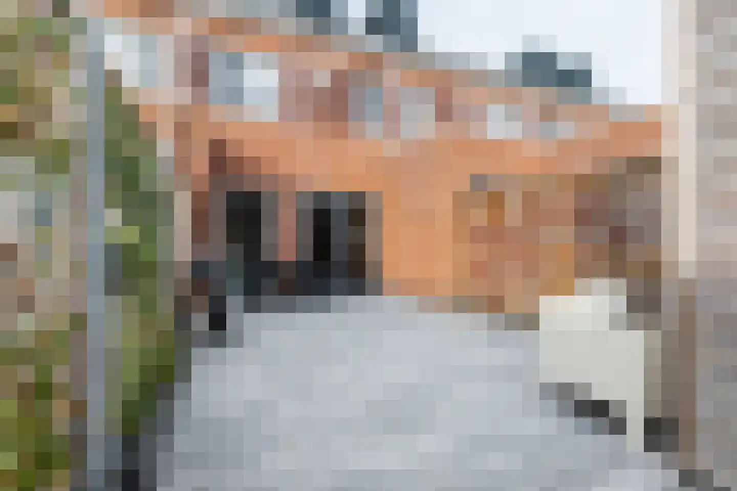 Ommelanderstraat 48 Ten Boer thumbnail 41