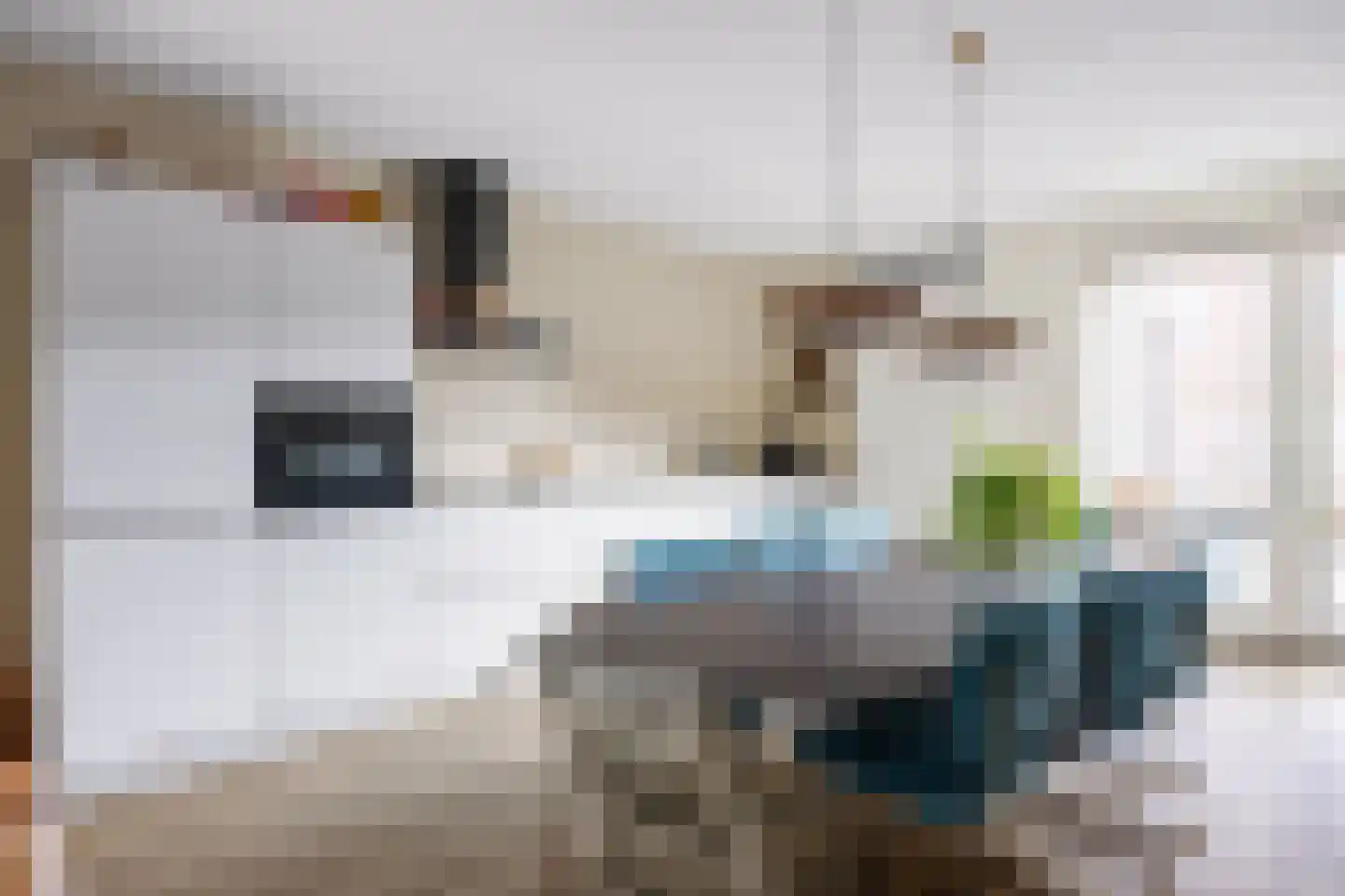 Ommelanderstraat 50 Ten Boer thumbnail 16
