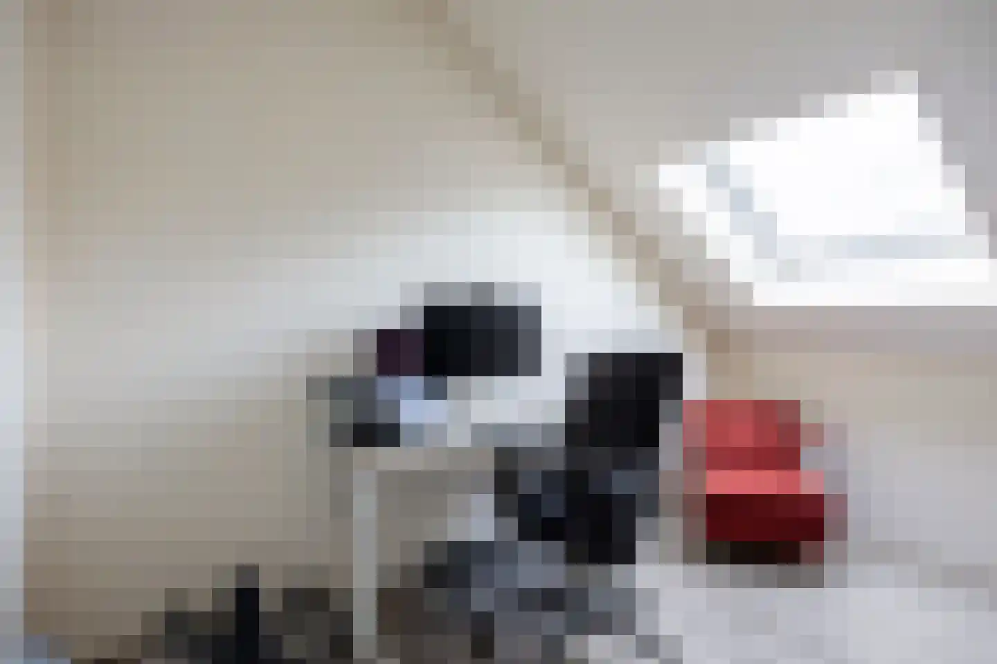 Ommelanderstraat 50 Ten Boer thumbnail 35