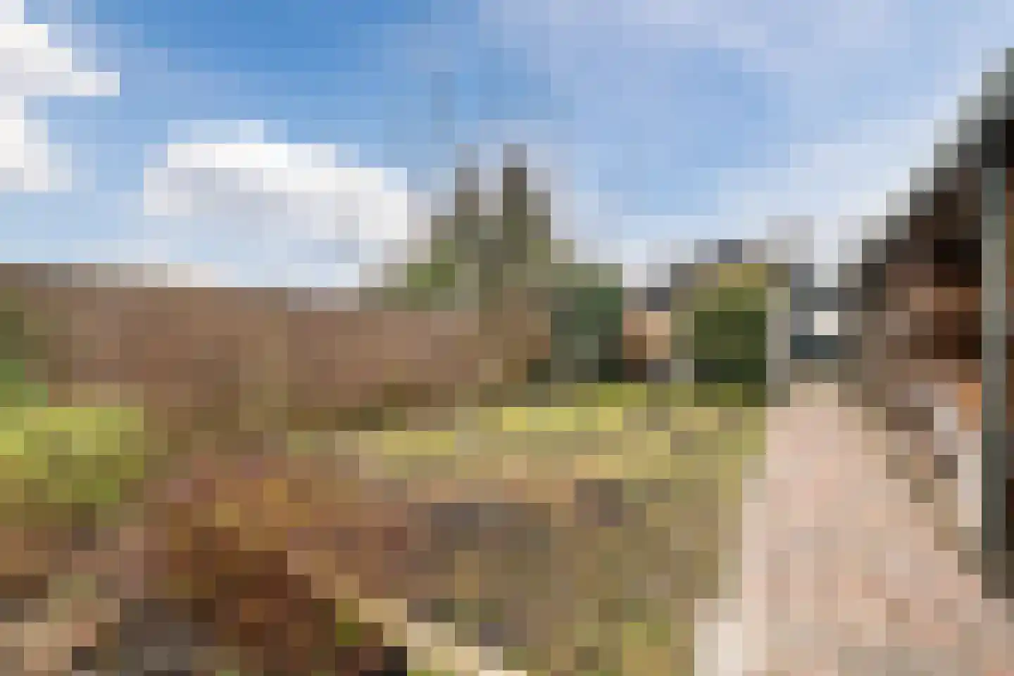 Ommelanderwijk 125 Veendam thumbnail 29
