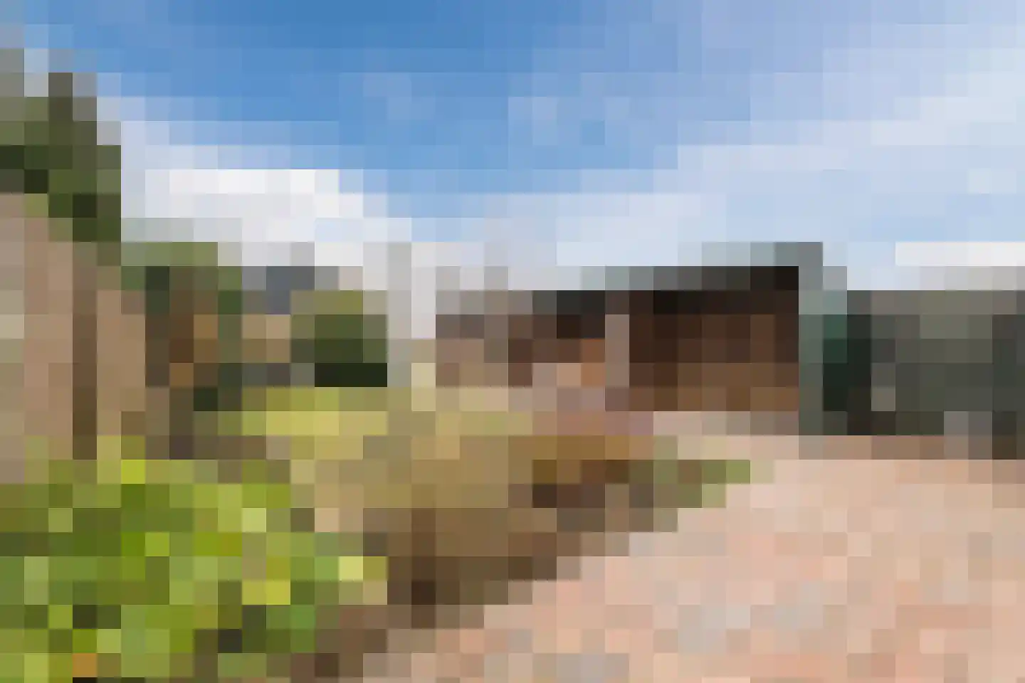 Ommelanderwijk 125 Veendam thumbnail 30