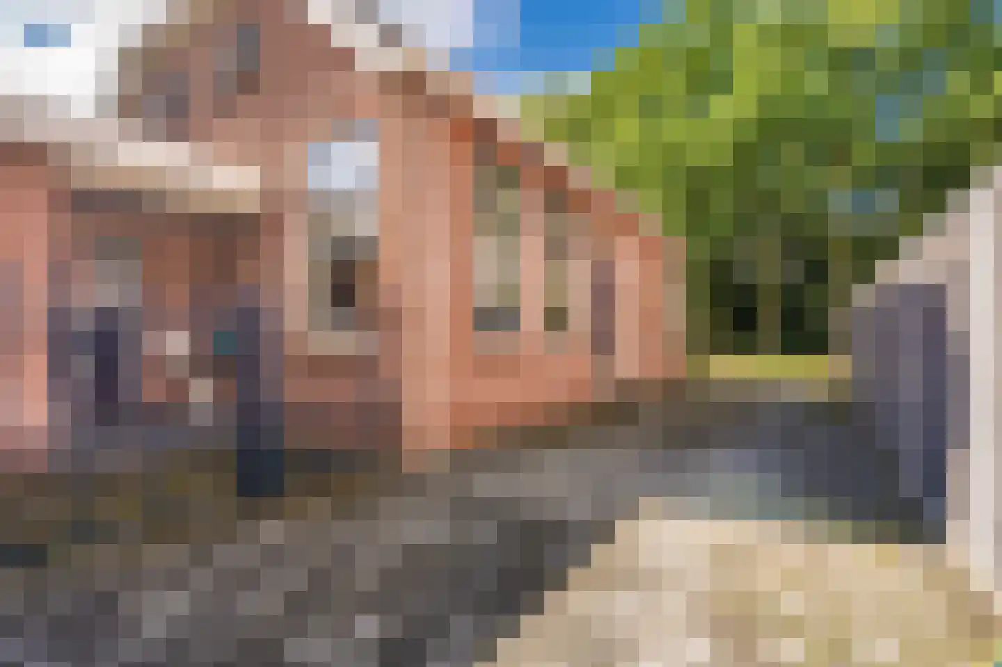 Ommelanderwijk 259 Veendam thumbnail 15