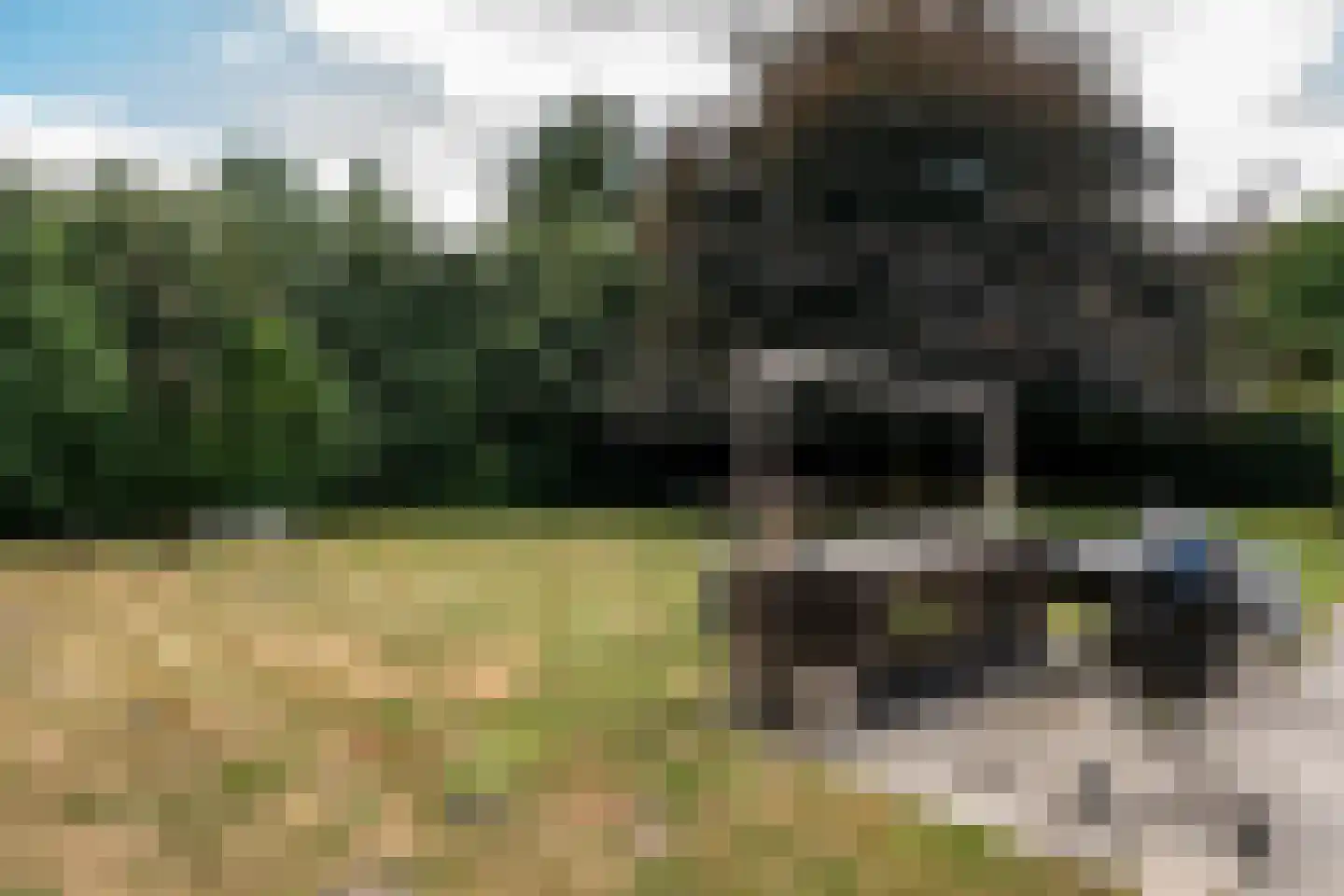 Ommelanderwijk 289 Veendam thumbnail 35