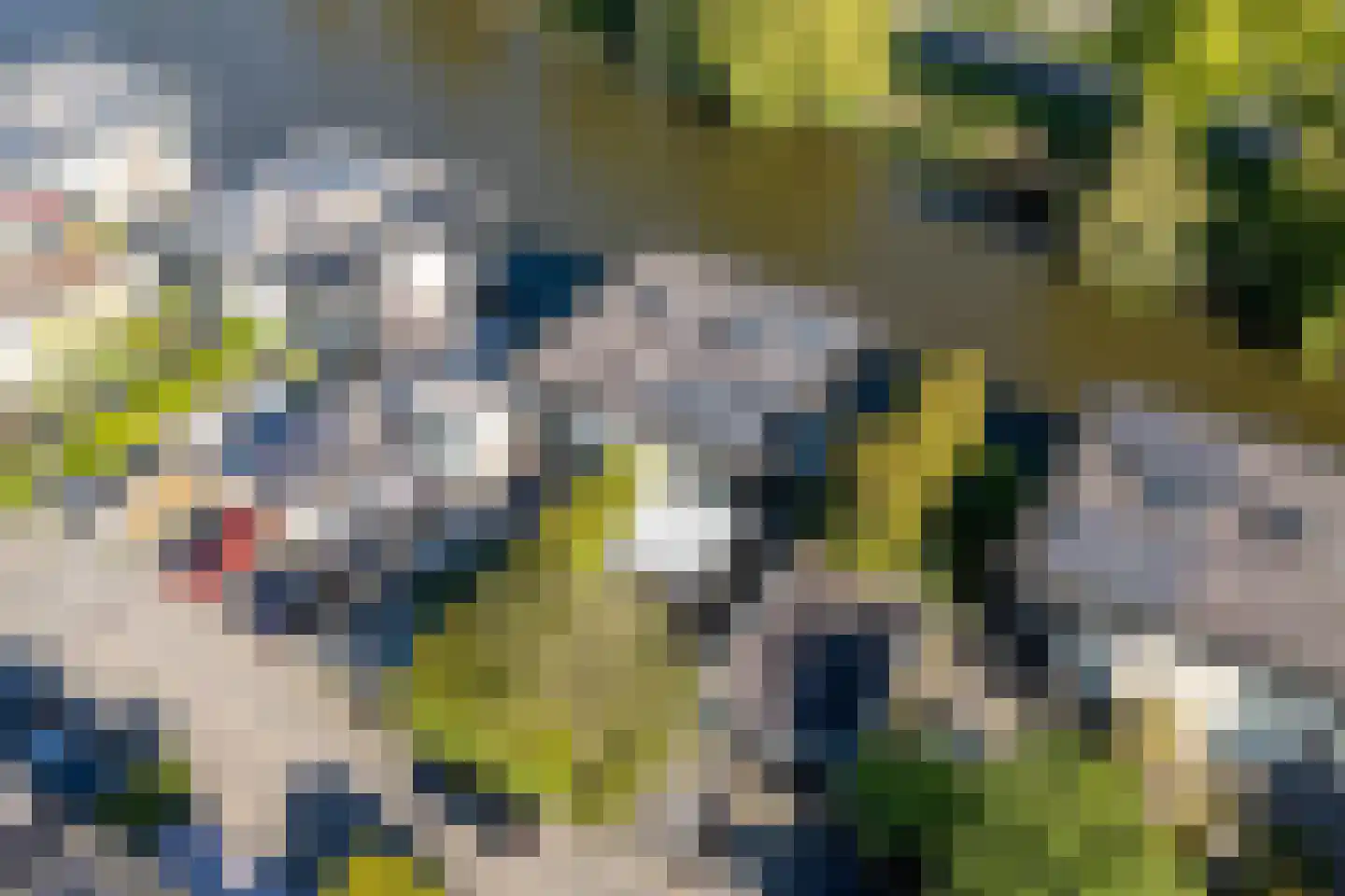 Ommelandvaart 32 Almere thumbnail 69