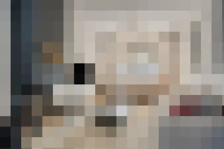 Ommelseweg 9 Asten thumbnail 14