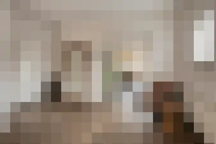 Ommelseweg 9 Asten thumbnail 18