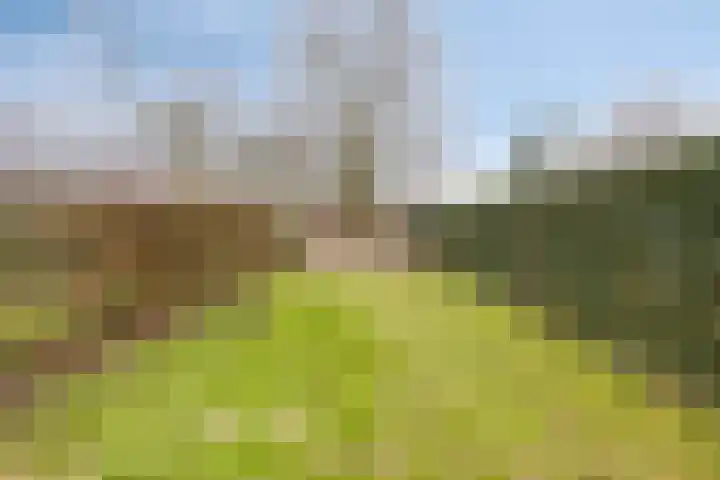 Ommelseweg 9 Asten thumbnail 46
