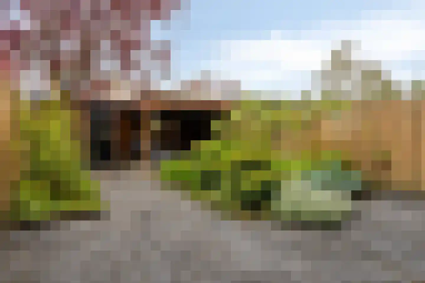 Ommenstraat 72 Tilburg thumbnail 35