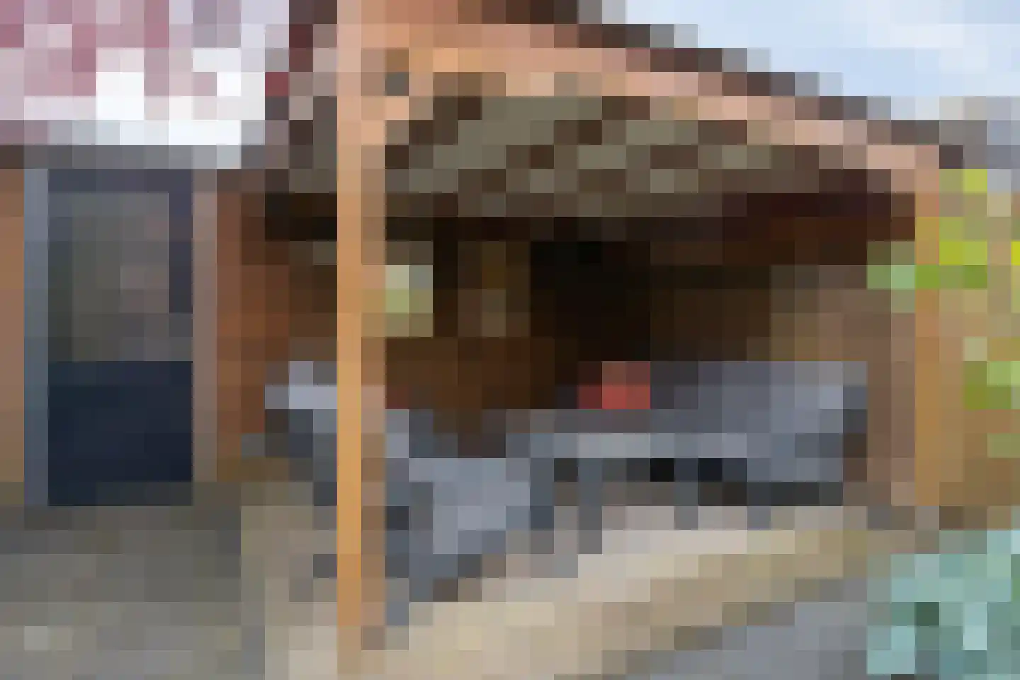 Ommenstraat 72 Tilburg thumbnail 37