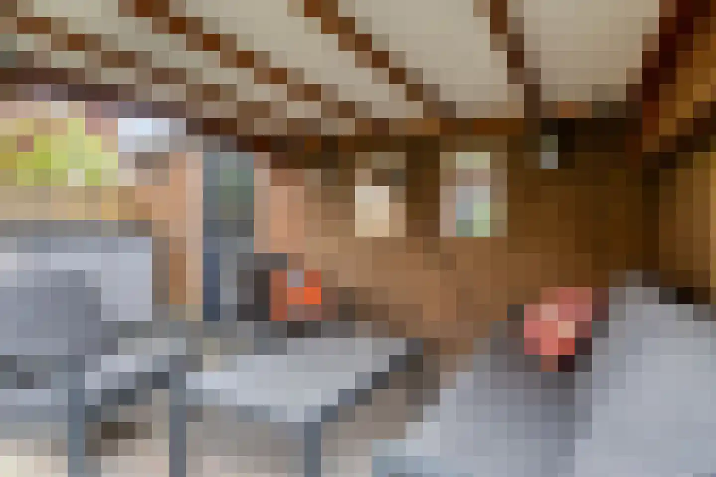 Ommenstraat 72 Tilburg thumbnail 38