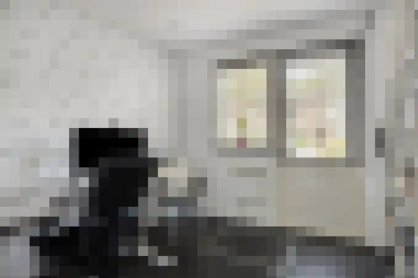 Ommerbos 123 Hoofddorp thumbnail 13