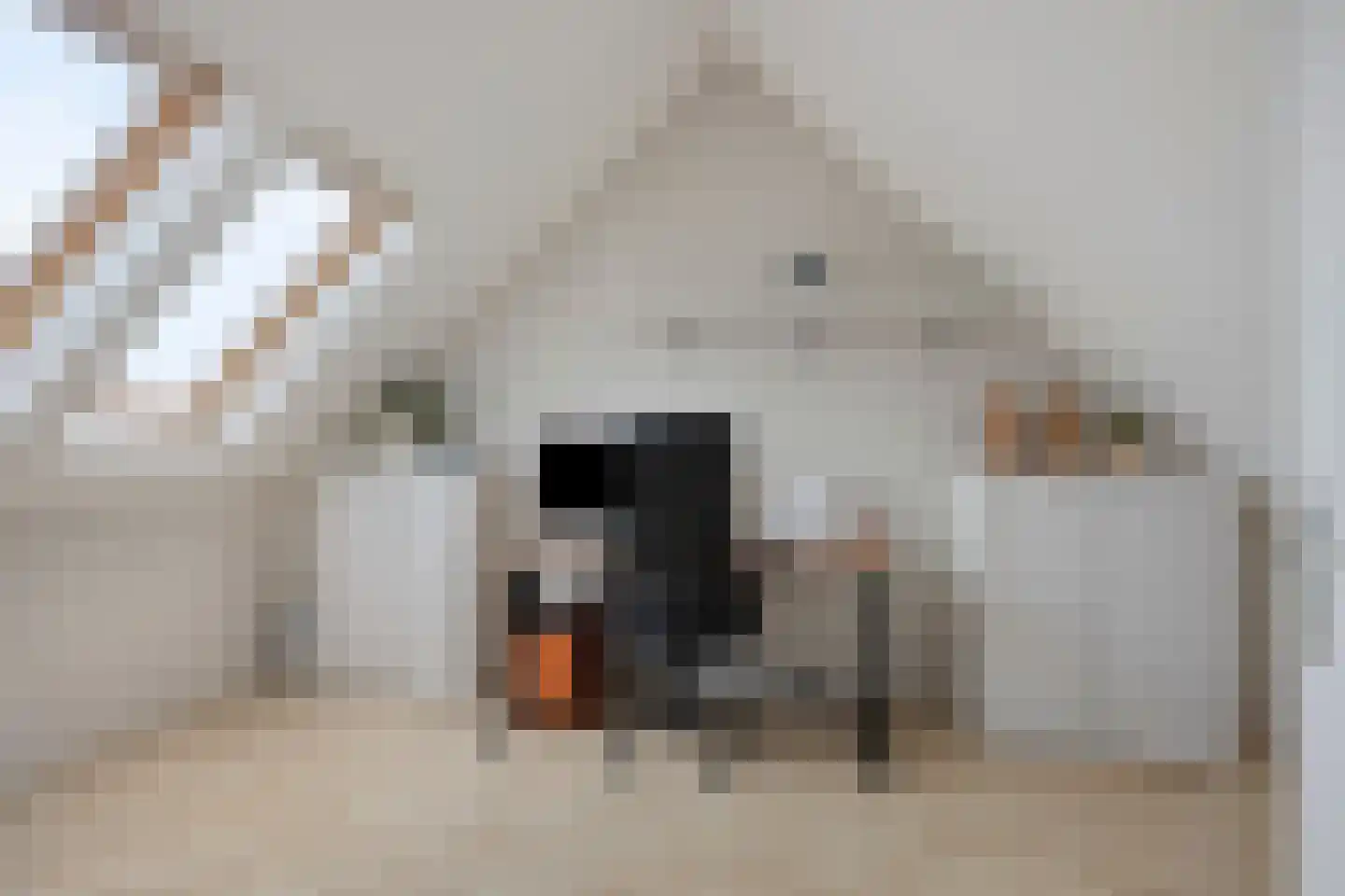 Ommerbos 123 Hoofddorp thumbnail 27