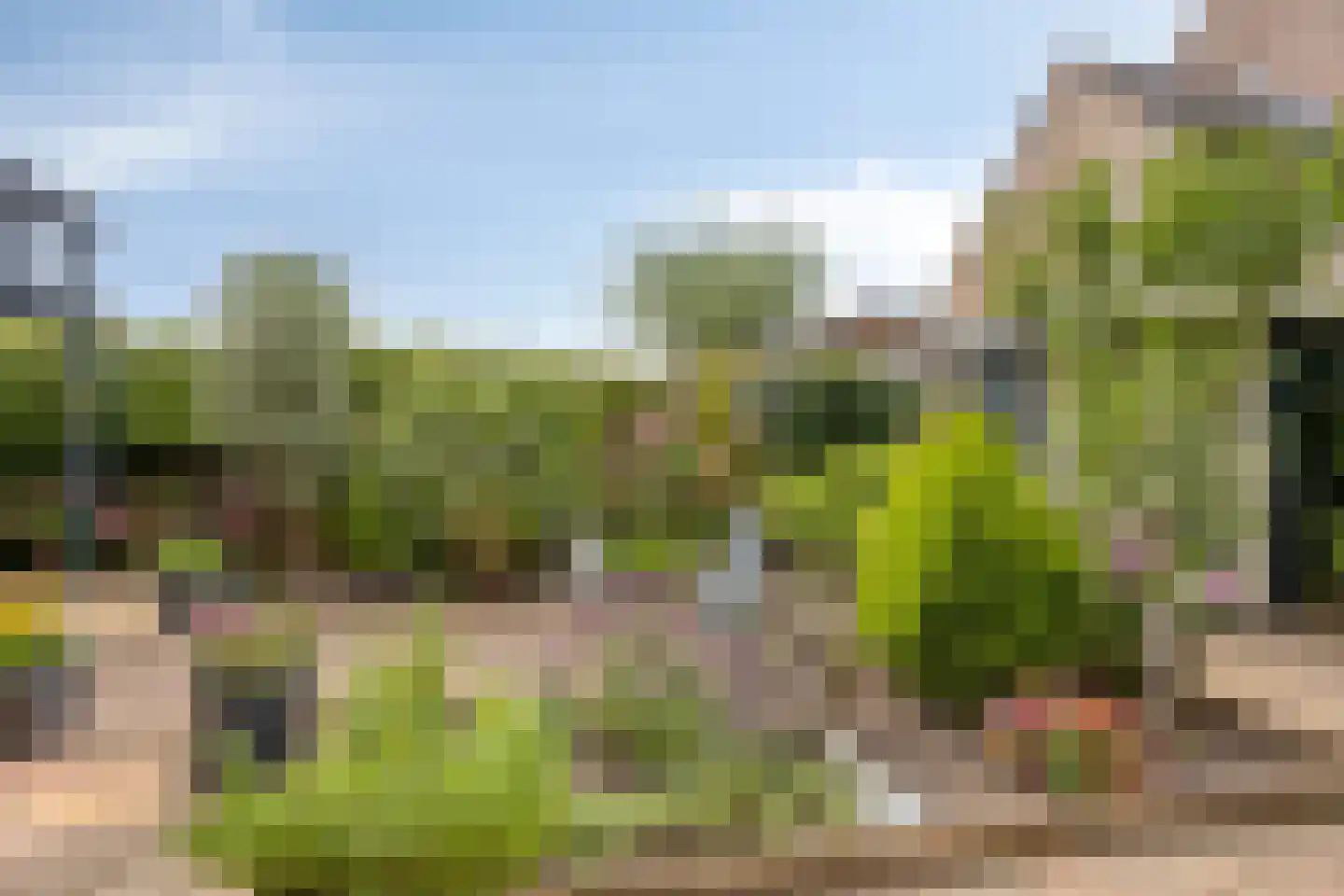 Ommerbos 123 Hoofddorp thumbnail 31