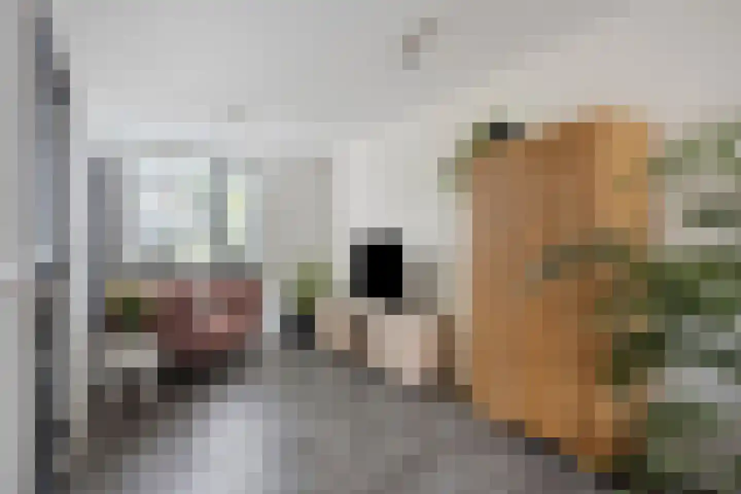 Ommerbos 123 Hoofddorp thumbnail 6
