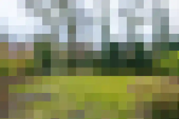 Ommerbos 20 Enschede thumbnail 31