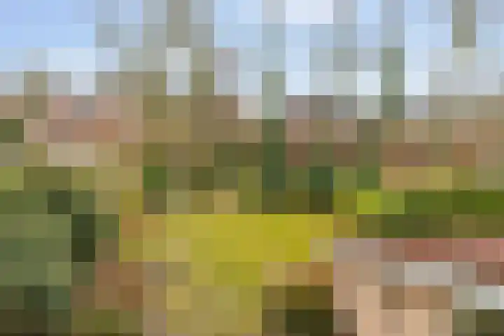 Ommerbos 20 Enschede thumbnail 32