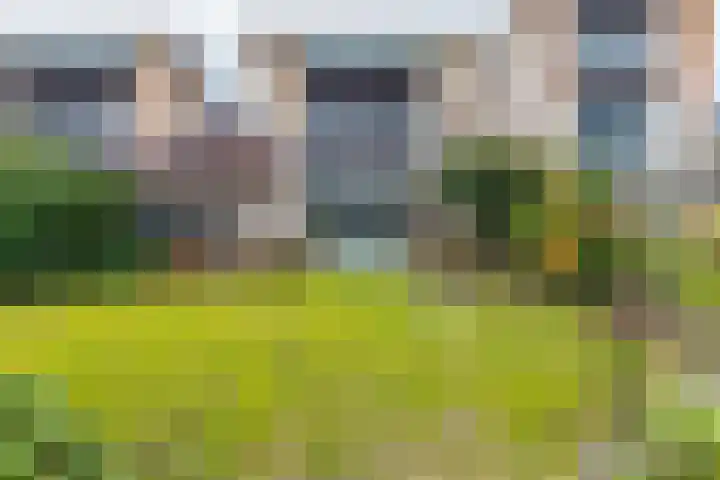 Ommerbos 20 Enschede thumbnail 33