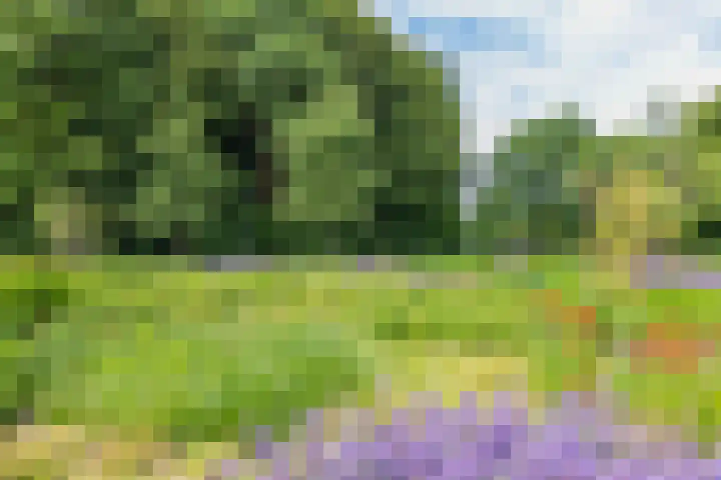 Ommerbos 42 Hoofddorp thumbnail 40