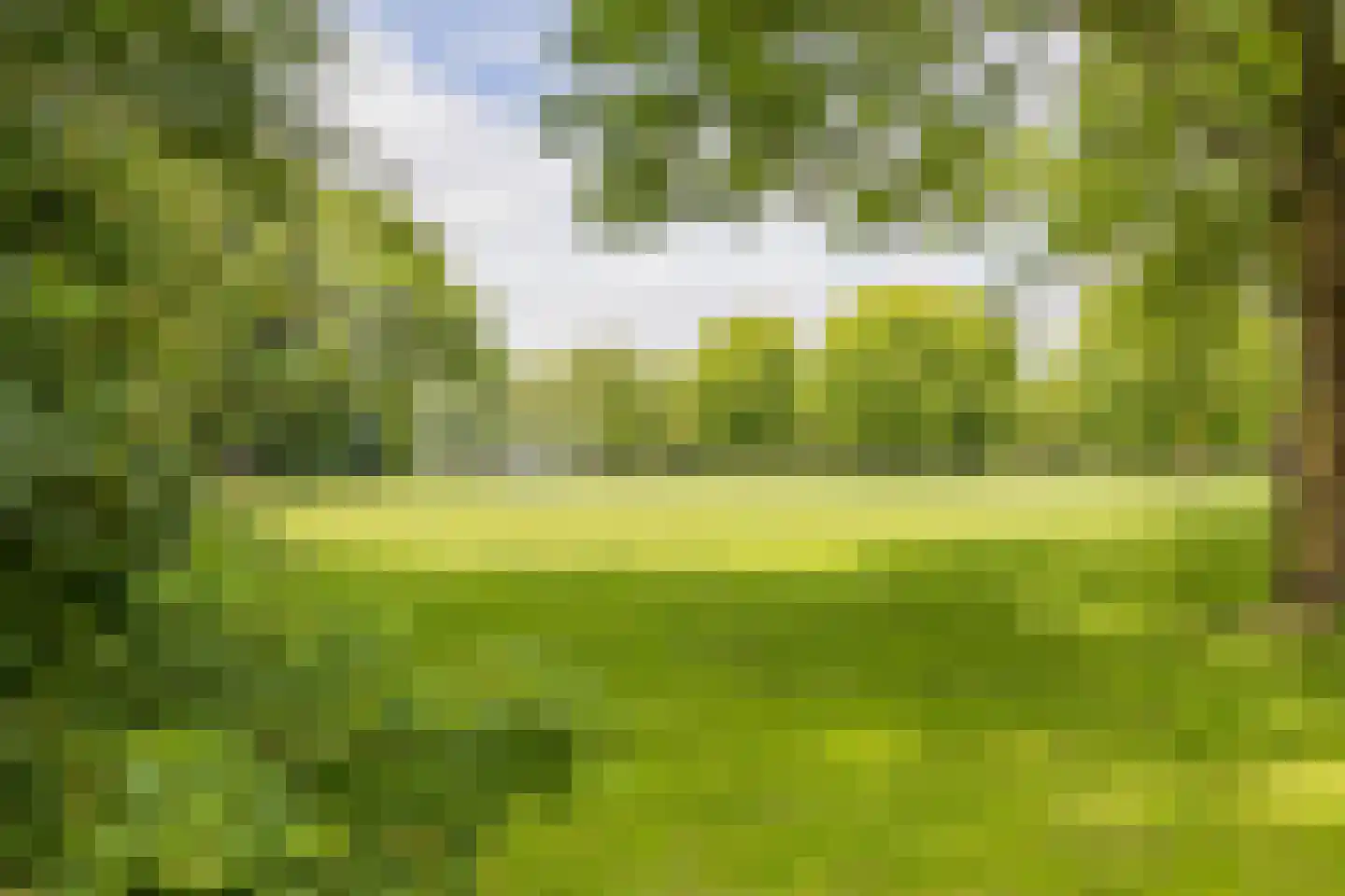 Ommerbos 42 Hoofddorp thumbnail 41
