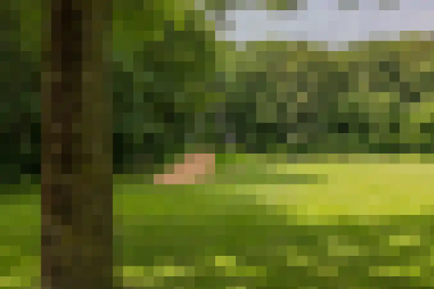Ommerbos 42 Hoofddorp thumbnail 42