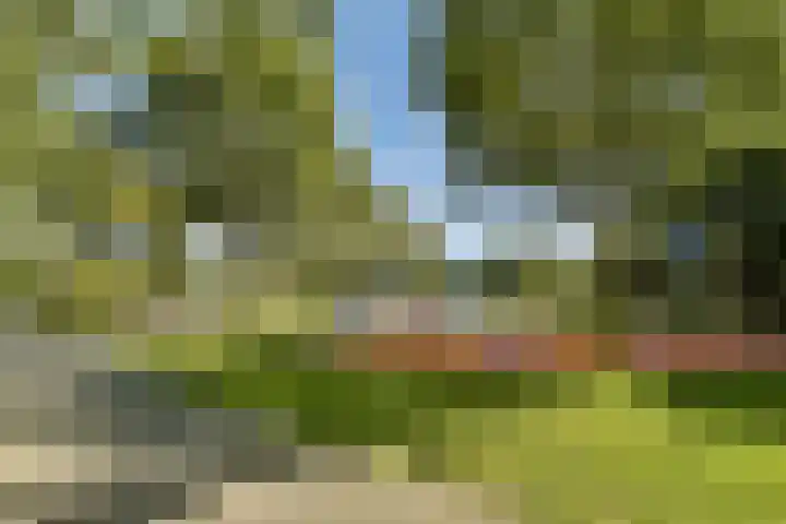 Ommerbos 43 Hoofddorp thumbnail 29