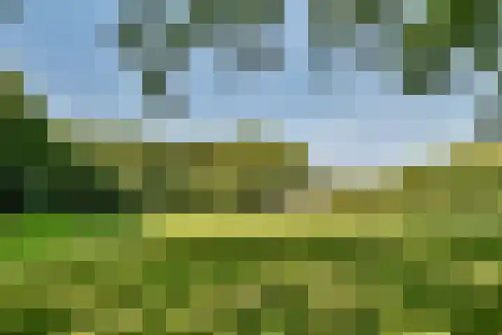 Ommerbos 43 Hoofddorp thumbnail 30