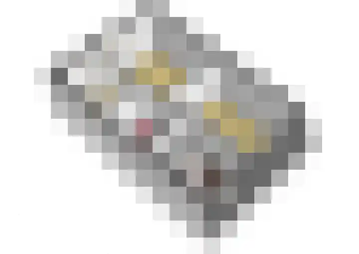 Ommerbos 43 Hoofddorp thumbnail 37