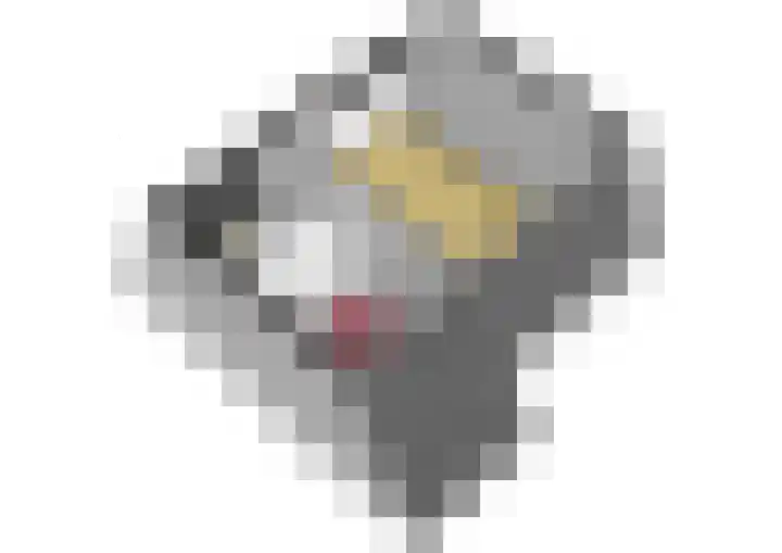Ommerbos 43 Hoofddorp thumbnail 38