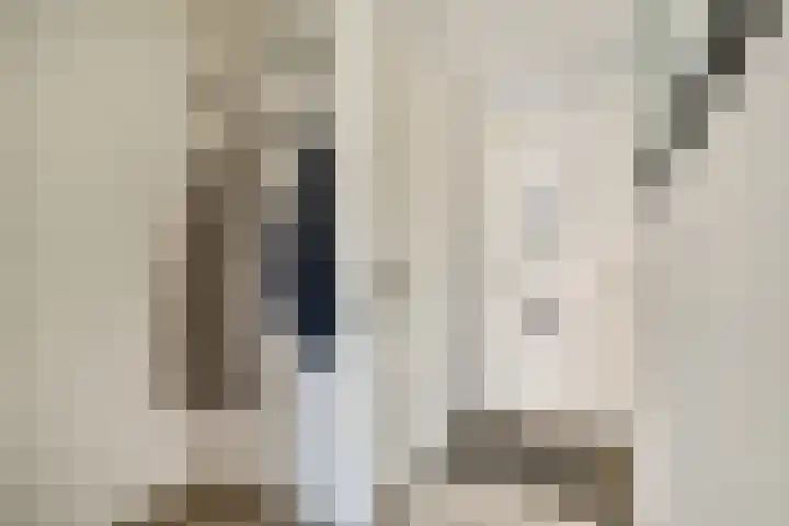 Ommerbos 43 Hoofddorp thumbnail 4