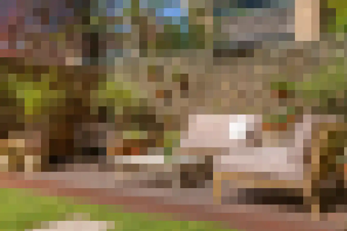 Ommerbos 47 Enschede thumbnail 31
