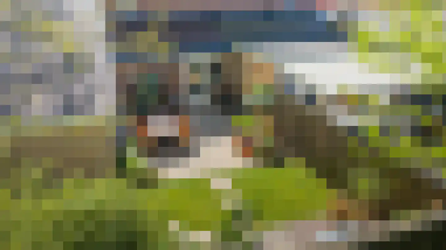 Ommerbos 47 Enschede thumbnail 34