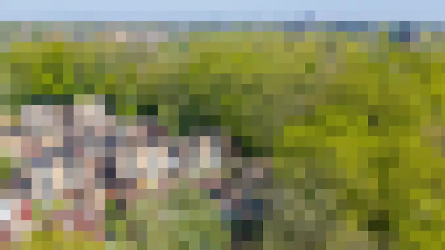 Ommerbos 47 Enschede thumbnail 41