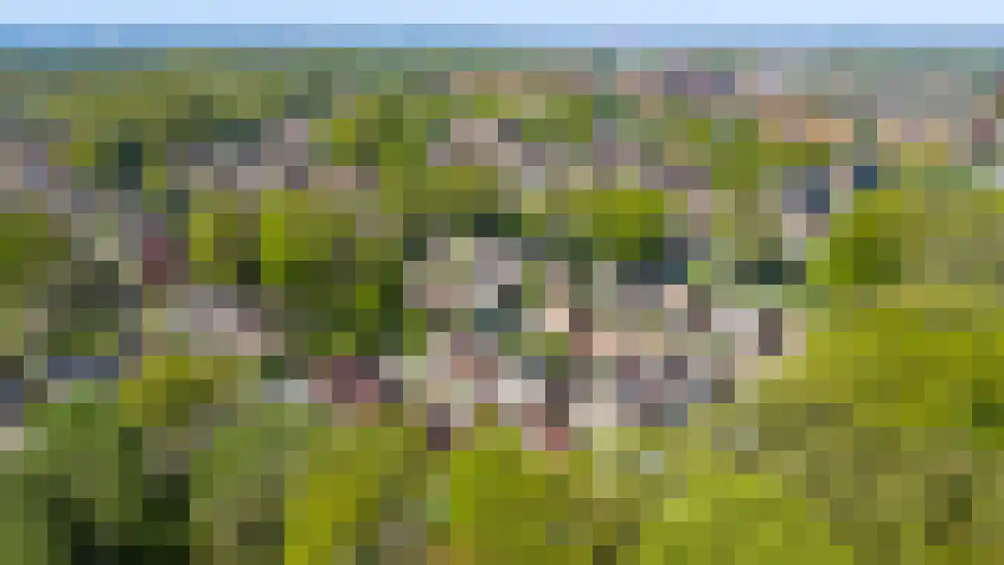 Ommerbos 47 Enschede thumbnail 42