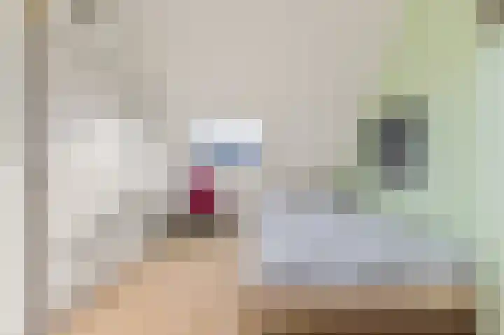 Ommerbos 55 Hoofddorp thumbnail 30