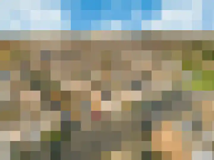 Ommerbos 55 Hoofddorp thumbnail 37