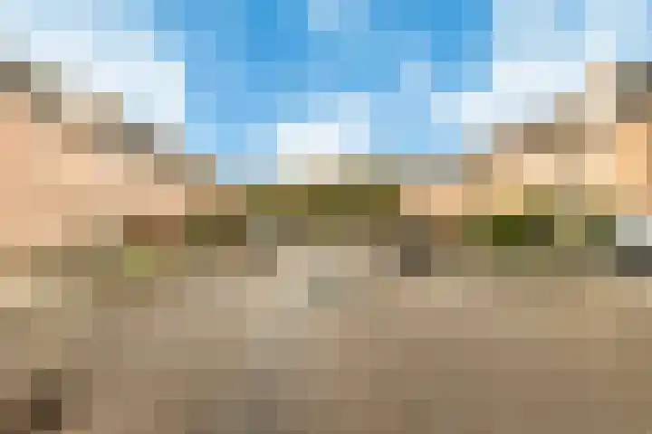 Ommerbos 55 Hoofddorp thumbnail 38