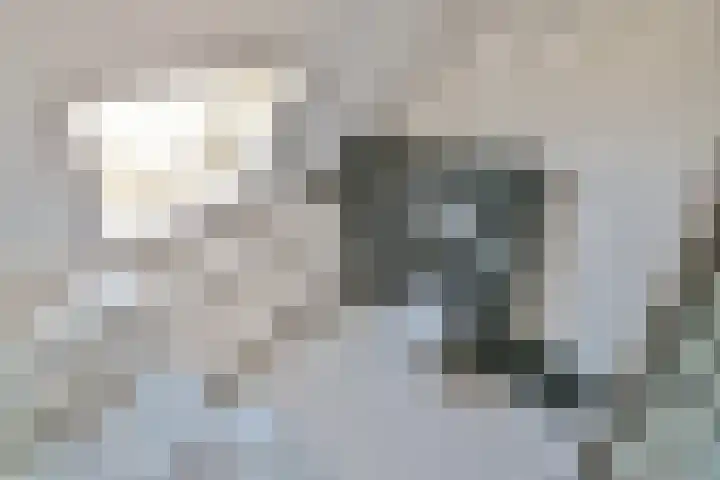 Ommerbos 87 Hoofddorp thumbnail 21