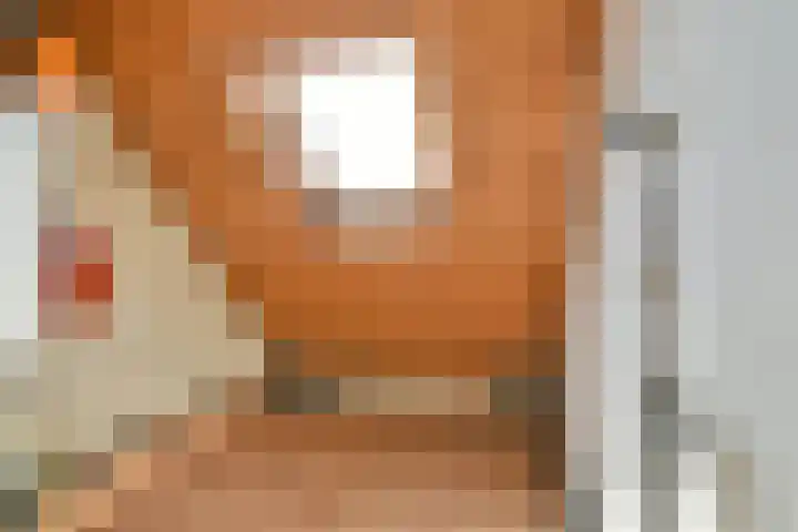Ommerbos 87 Hoofddorp thumbnail 27