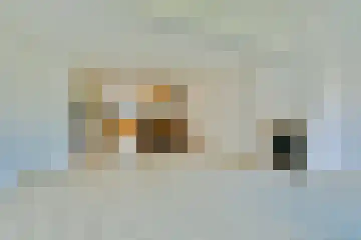Ommerbos 87 Hoofddorp thumbnail 8