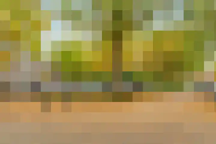 Ommerenhof 20 Amsterdam thumbnail 31
