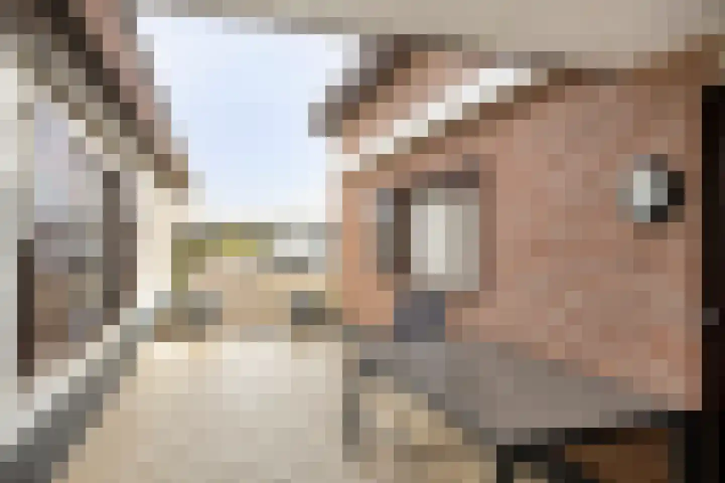 Ommerenveldseweg 8 b Ommeren thumbnail 31