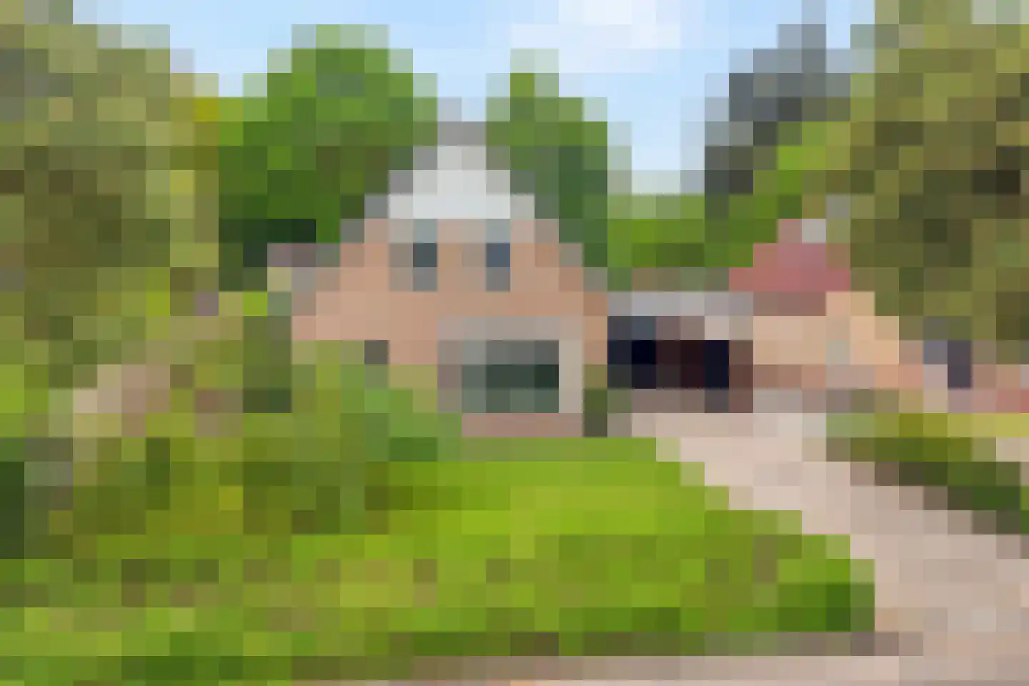 Ommeresstraat 1 Ommen thumbnail 53